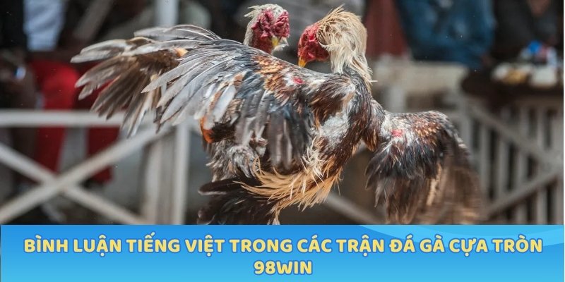 Bình luận tiếng Việt trong các trận đá gà cựa tròn