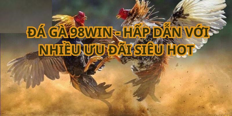 Chuyên mục đá gà cũng có nhiều ưu đãi sốc cho hội viên Chuyên mục đá gà cũng có nhiều ưu đãi sốc cho hội viên