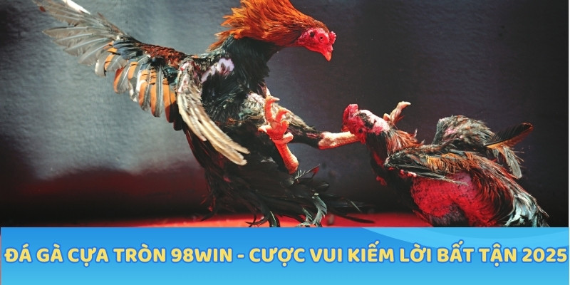 Đá Gà Cựa Tròn