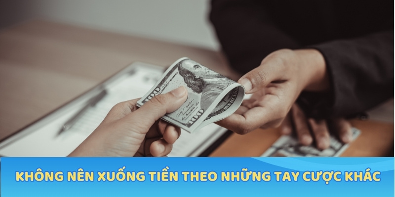 Không nên xuống tiền theo những tay cược khác