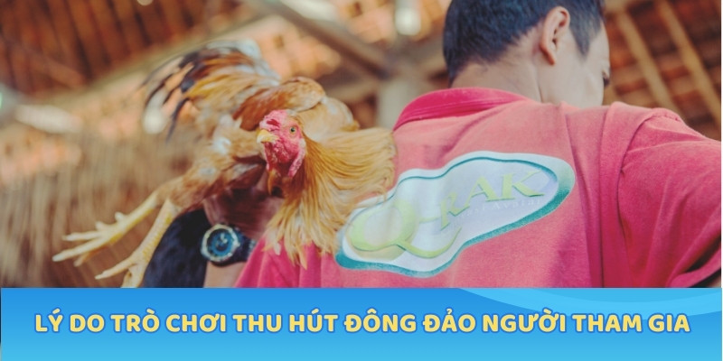 Lý do trò chơi thu hút đông đảo người tham gia