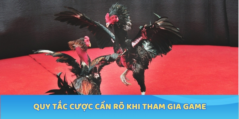 Quy tắc cược cần rõ khi tham gia game